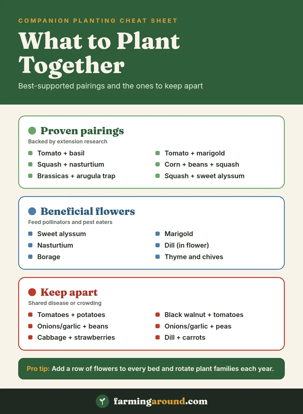 Companion planting chart cheat sheet showing proven vegetable pairings, beneficial flowers for pollinators, and plants that should not be planted together