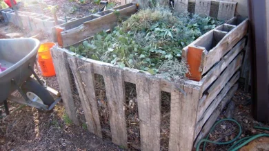Wooden pallet compost bin filled with garden waste beside a vegetable garden