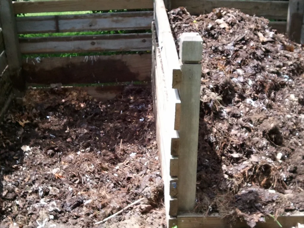 Wooden compost bays holding dark, crumbly compost