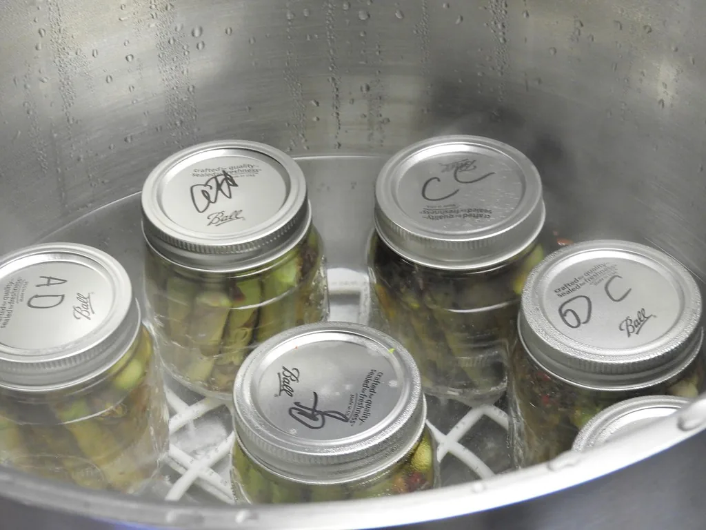 Labelled jars of green beans with two-piece lids on a canner rack