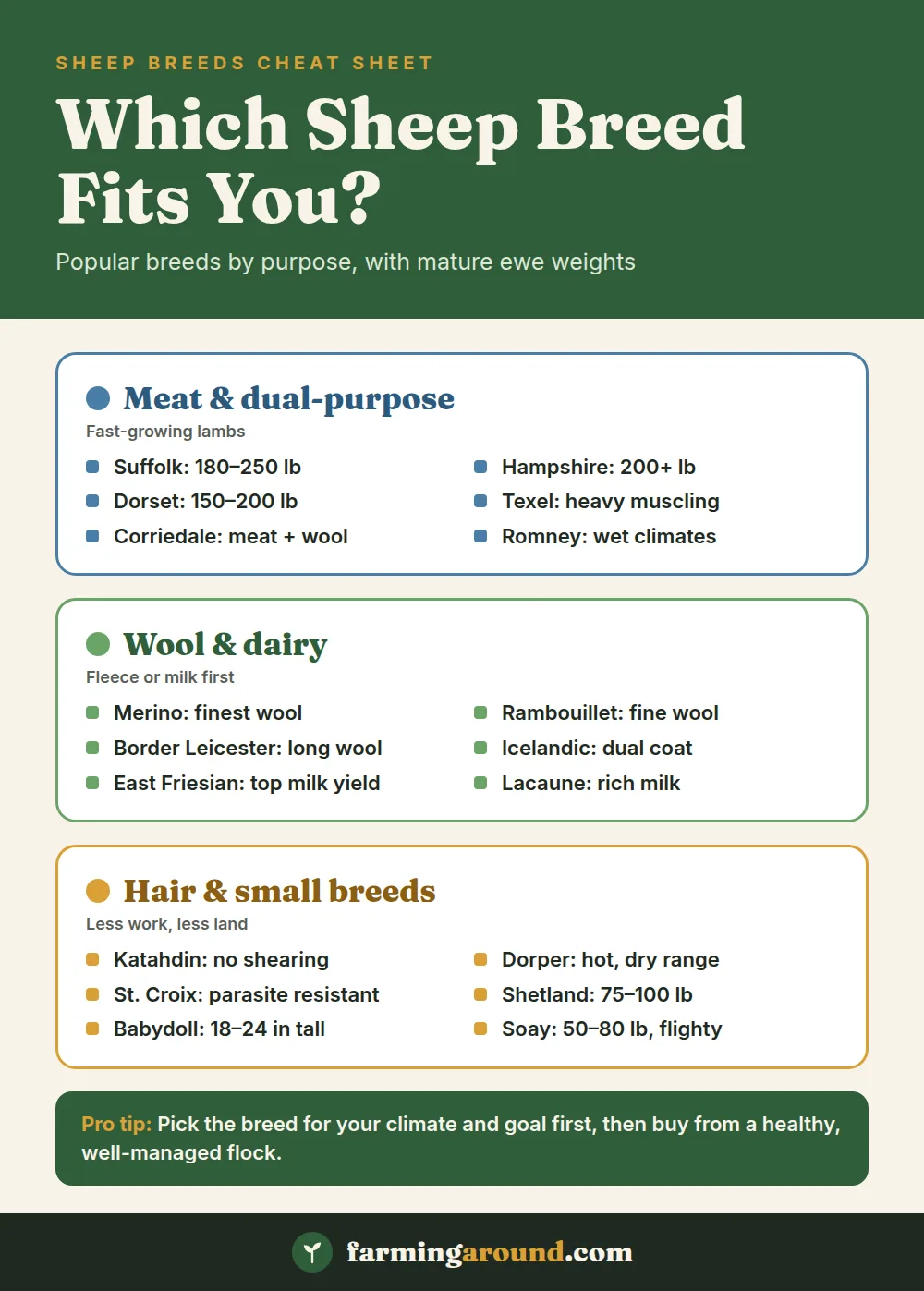 Sheep breeds chart: meat and dual-purpose, wool and dairy, and hair and small sheep breeds