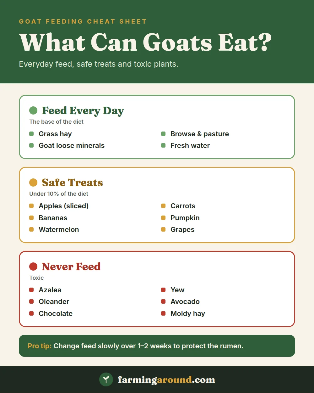What can goats eat chart: daily feed, safe treats and toxic plants for goats
