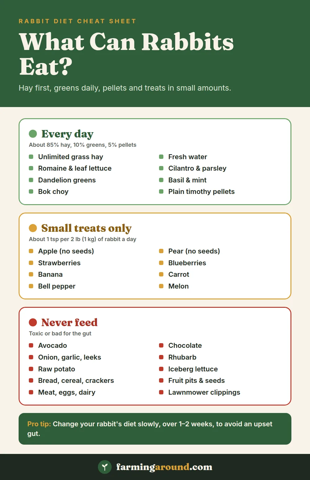 What can rabbits eat chart: daily foods, small treats and foods rabbits should never eat