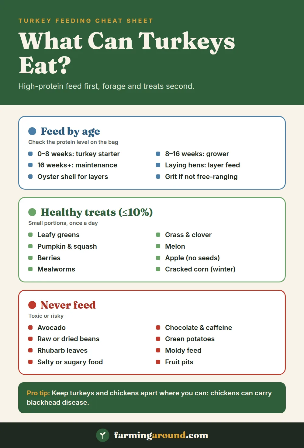 What can turkeys eat chart: feed by age, healthy treats and foods turkeys should never eat