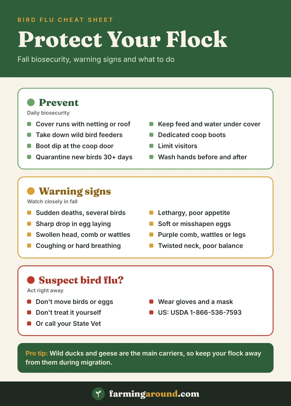 Bird flu biosecurity cheat sheet: key facts at a glance