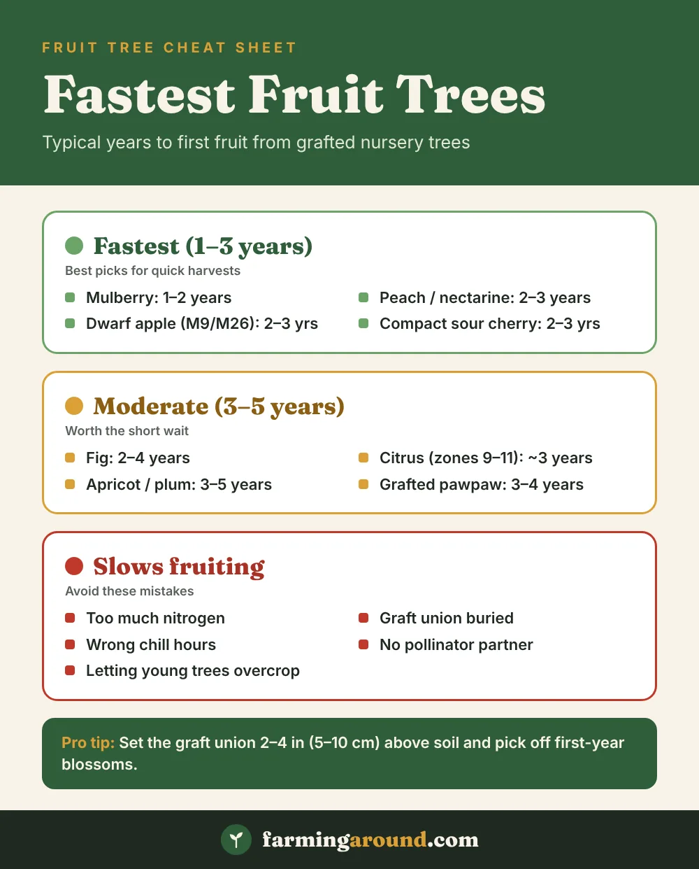 Fast growing fruit trees cheat sheet: key facts at a glance