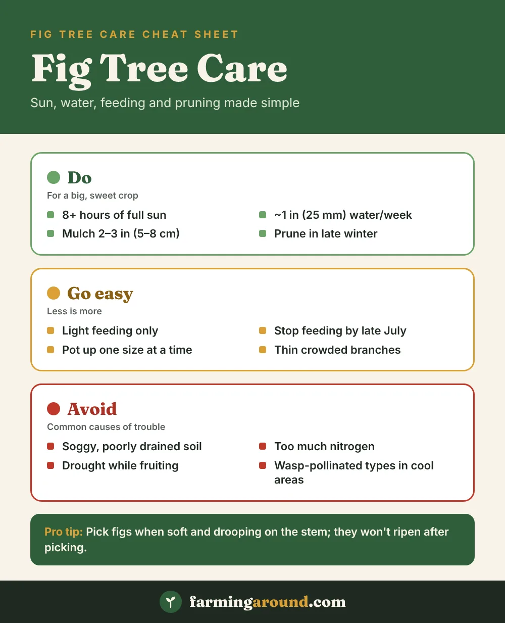 Fig Tree Care cheat sheet: key facts at a glance