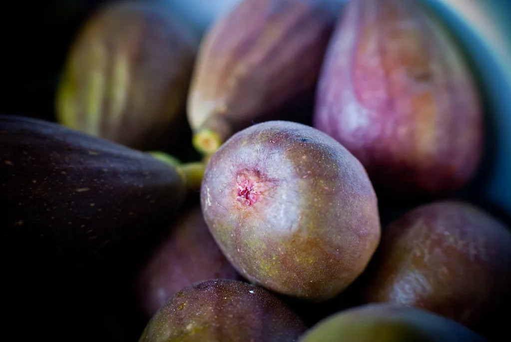 Bowl of freshly picked ripe purple figs