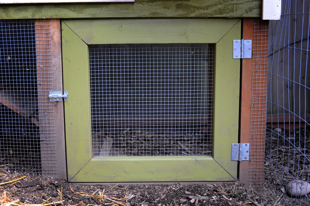 Wooden chicken run door covered in welded hardware cloth with metal hinges and latch