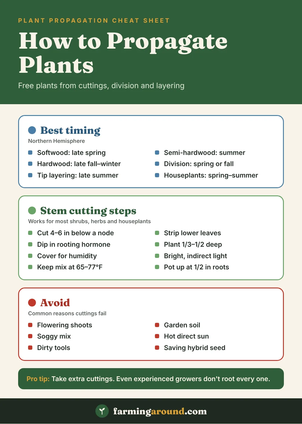 How to propagate plants cheat sheet: best timing for each method, stem cutting steps and common mistakes