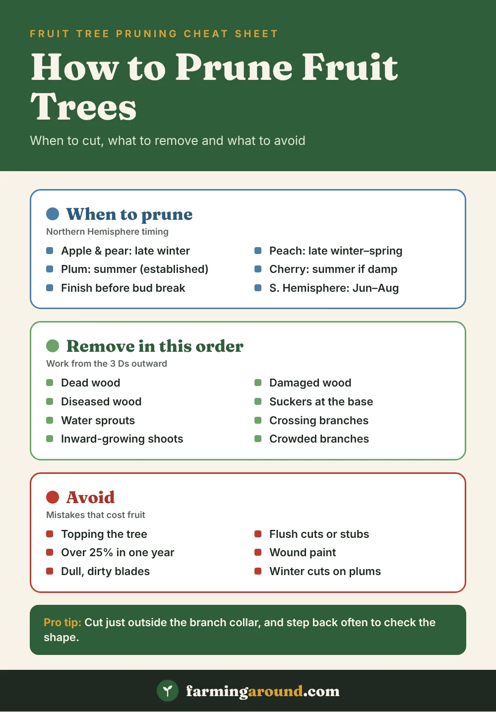 How to prune fruit trees cheat sheet: when to prune each fruit tree, what to remove in order, and mistakes to avoid