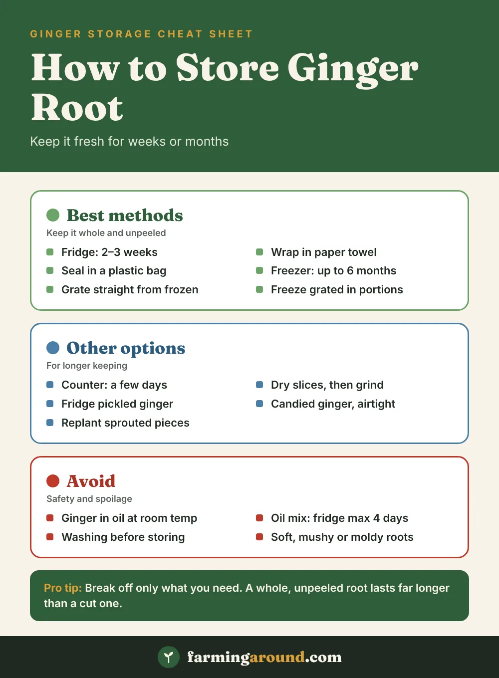 How to store ginger root cheat sheet with fridge, freezer and long-term storage times