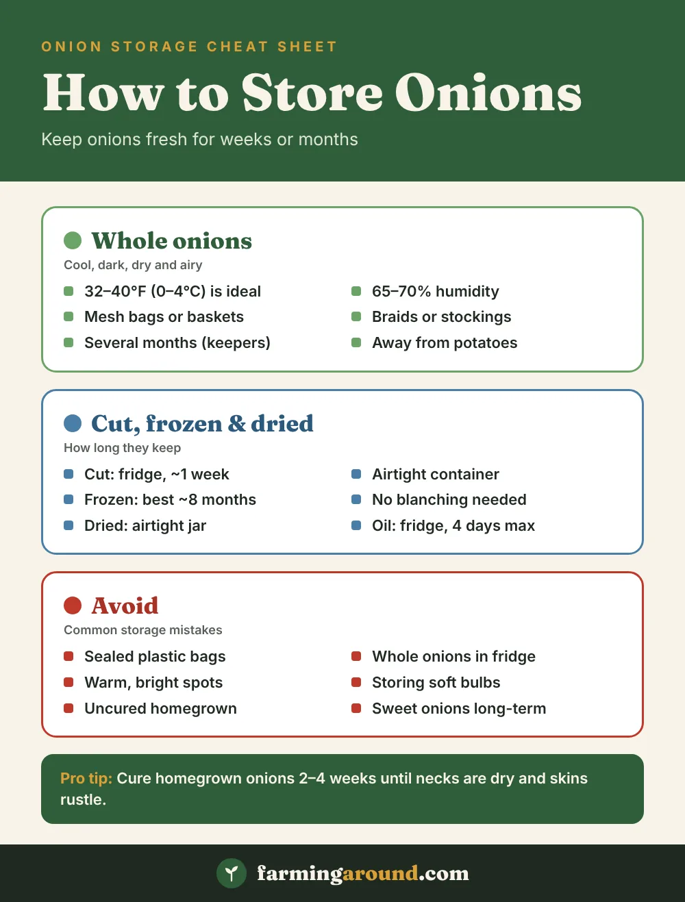 How to store onions cheat sheet with pantry, fridge and freezer times