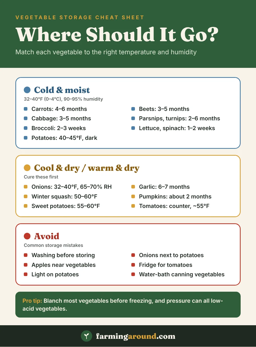 How to store vegetables cheat sheet: key facts at a glance
