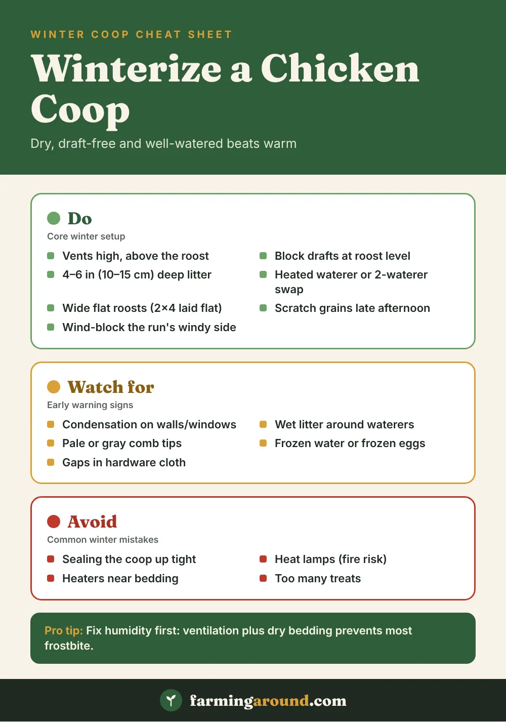 Winter chicken coop care cheat sheet: key facts at a glance