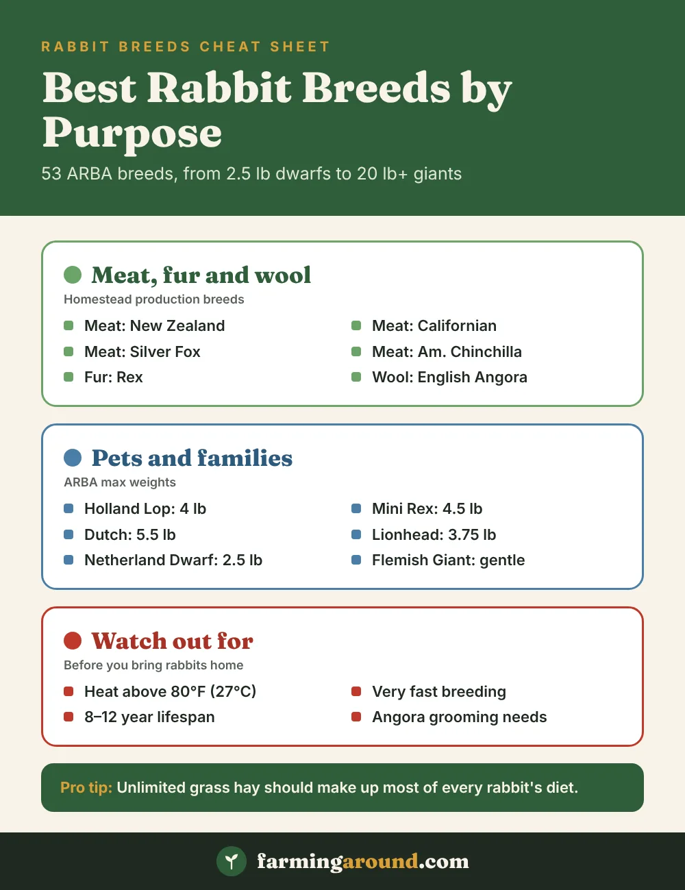 Rabbit breeds cheat sheet: best breeds for meat, fur and wool, pet breeds with weights, and things to watch out for