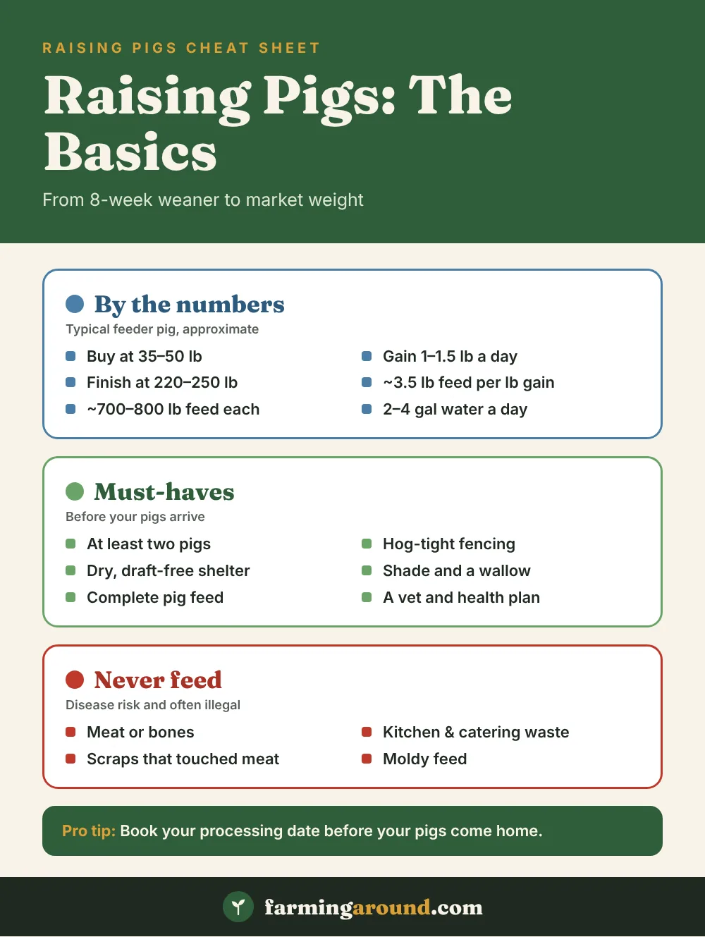 Raising pigs cheat sheet: key numbers for feeder pigs, must-haves before they arrive, and foods never to feed