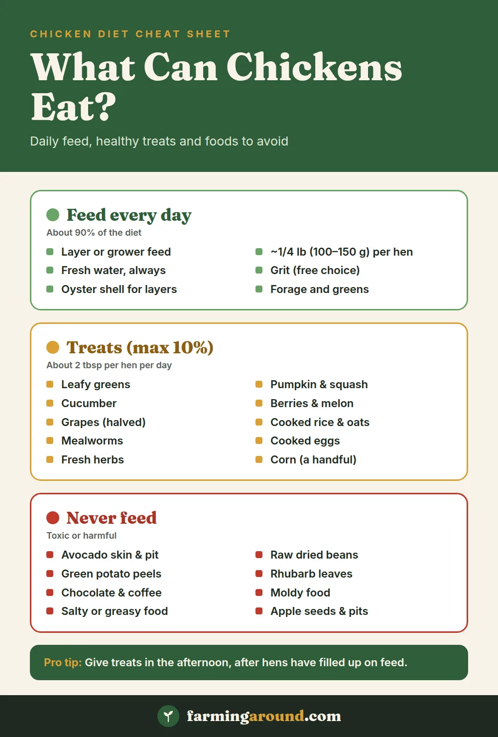 What can chickens eat chart showing daily feed, healthy treats and foods chickens should never eat