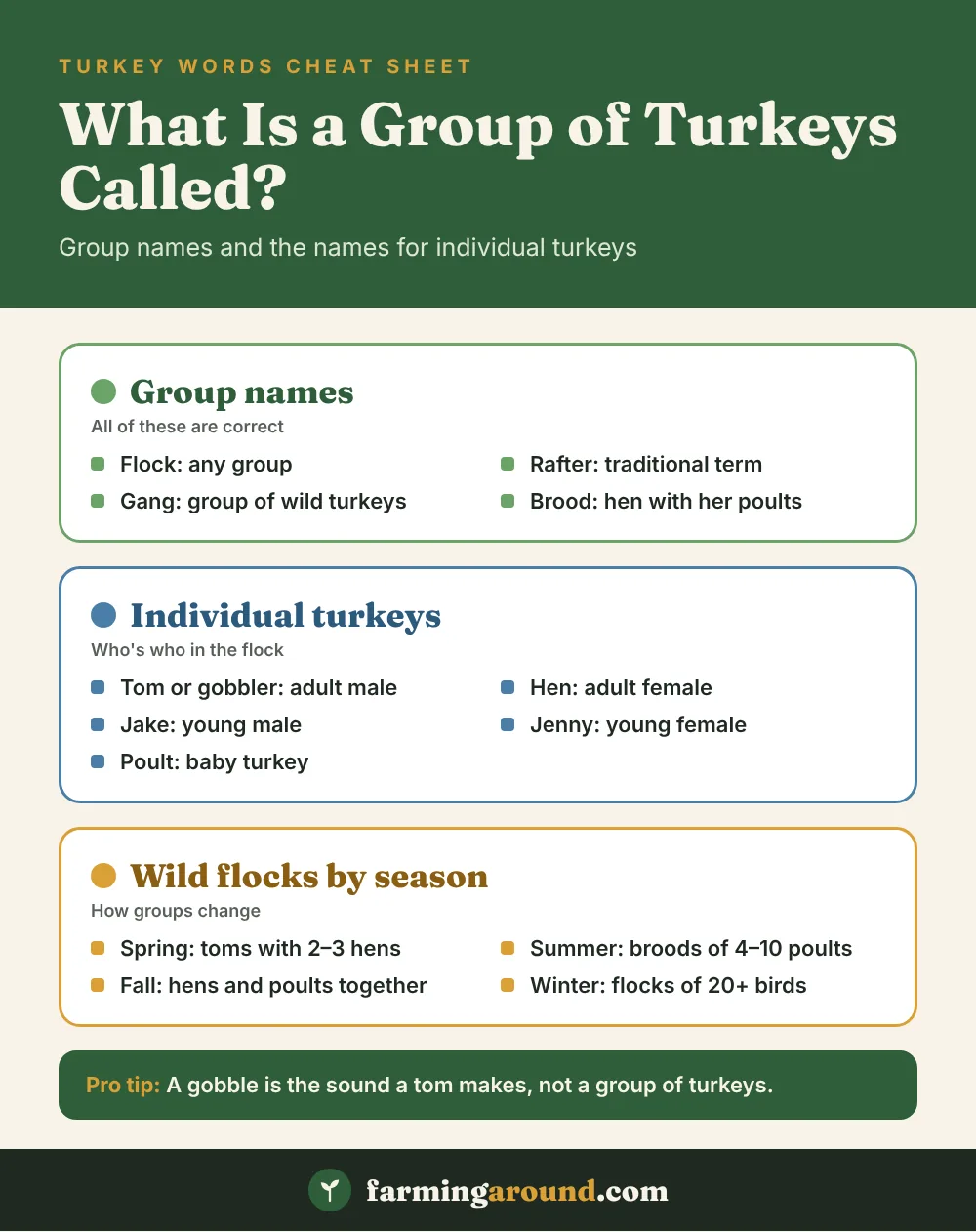 What is a group of turkeys called chart: group names, names for individual turkeys and wild flocks by season
