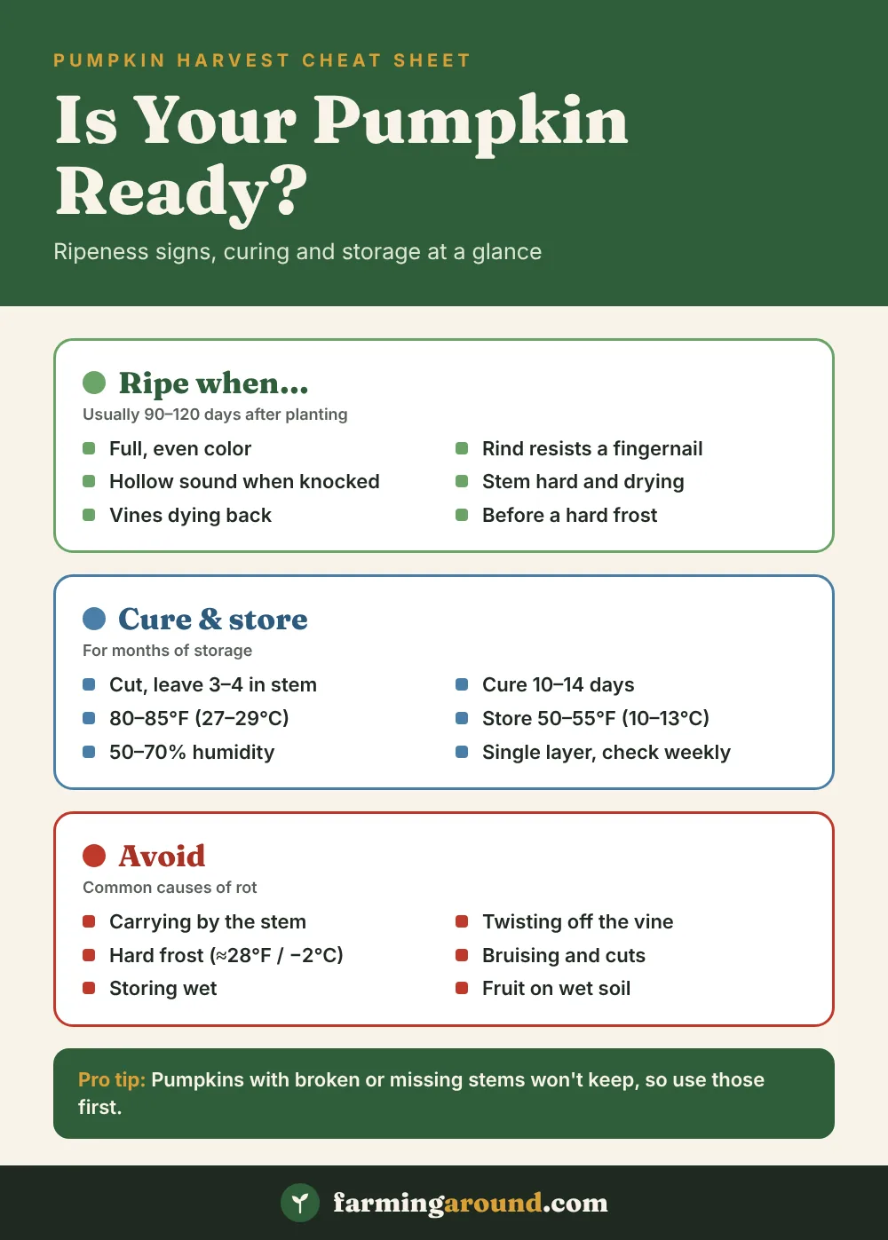 Pumpkin harvest cheat sheet with ripeness signs, curing and storage temperatures and what to avoid