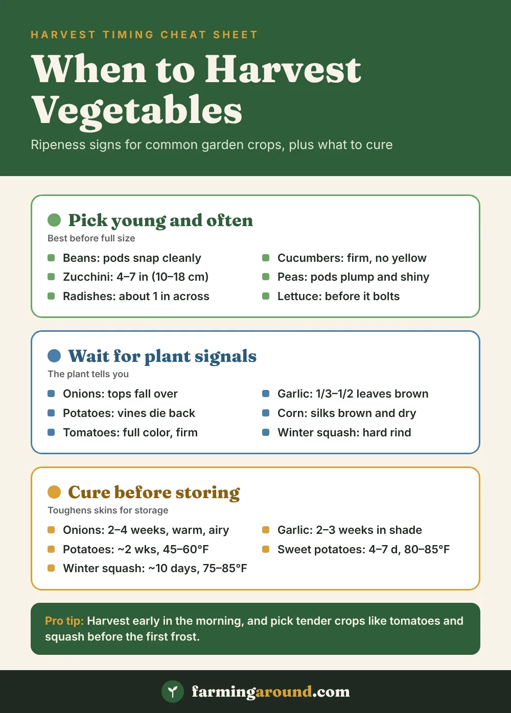 When to harvest vegetables cheat sheet: key facts at a glance